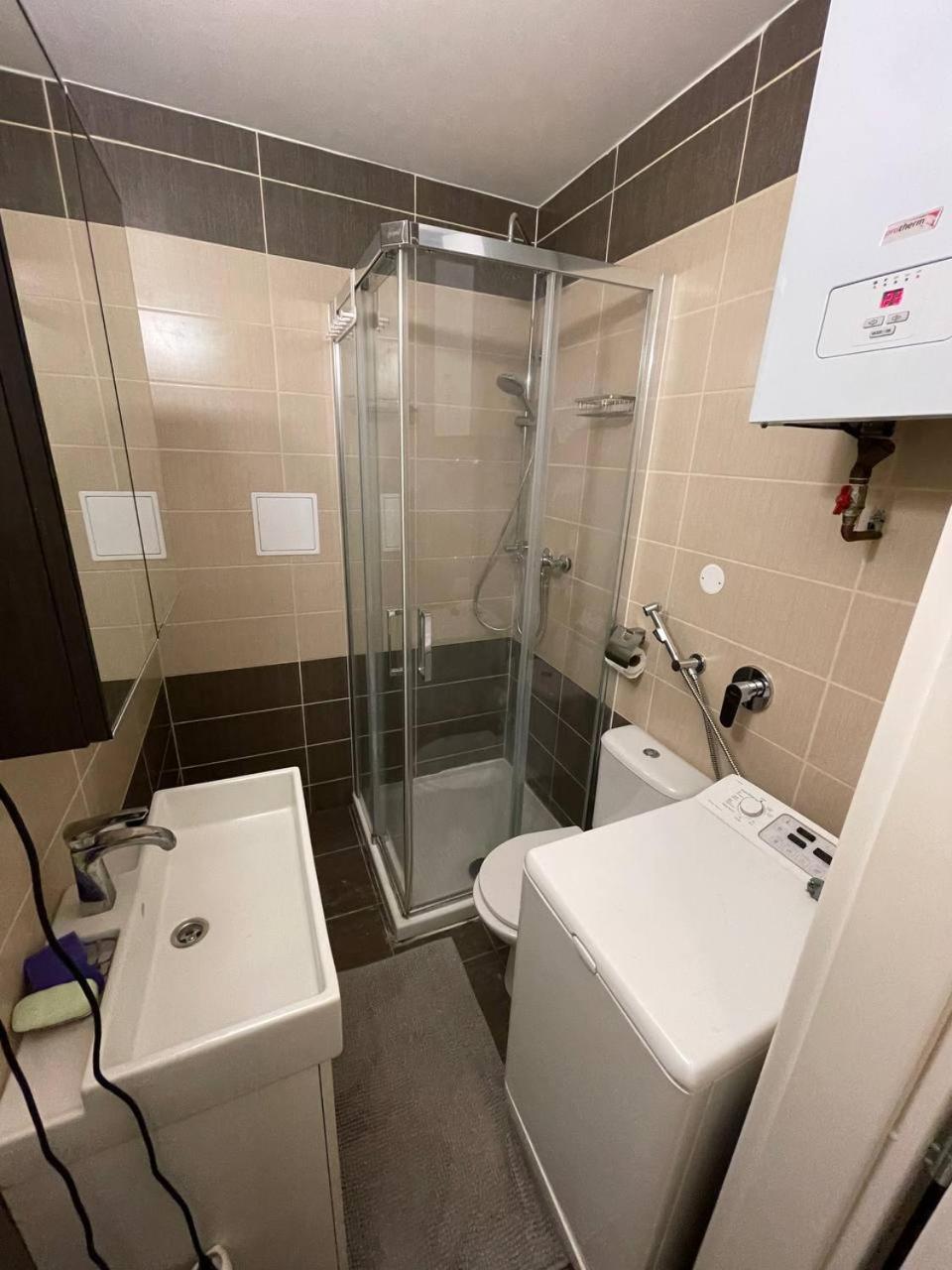 Friendly In Apartament *