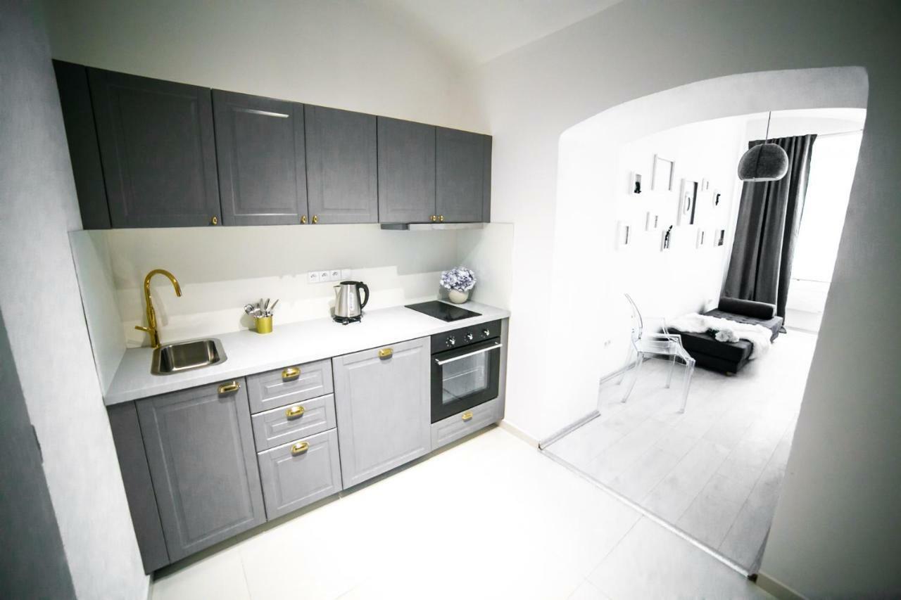 Friendly In Apartament Praga